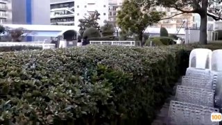 天堂AV无码AV天线Av➕精品成人毛片一区二区